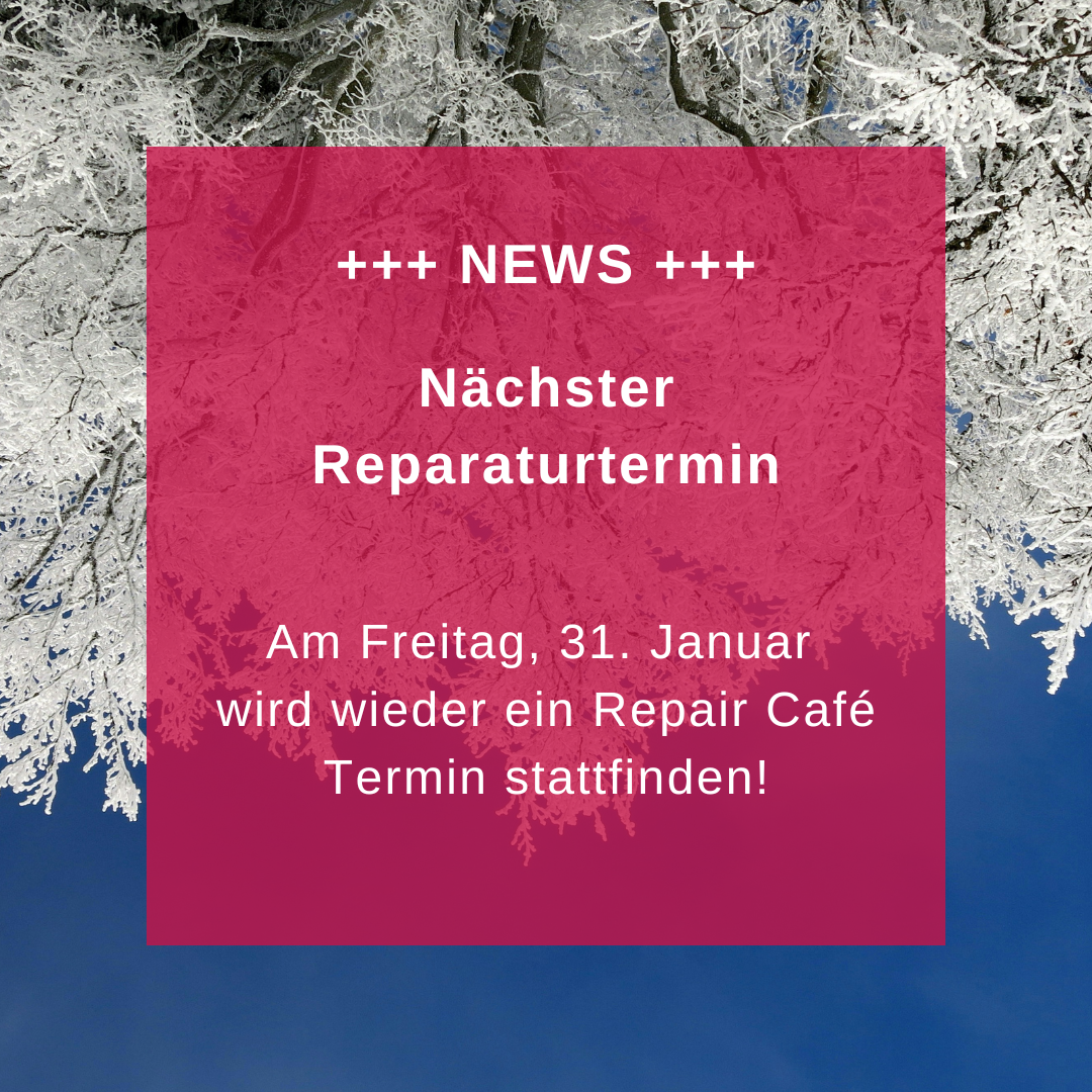 Reparaturtermin 31. Januar 2025