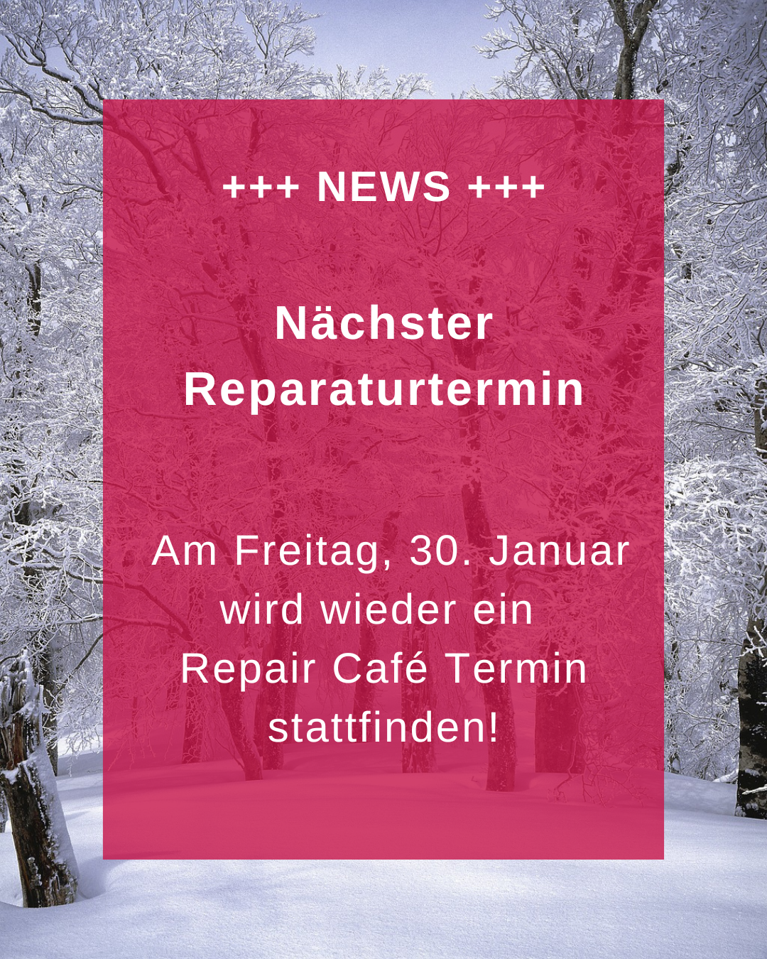 Reparaturtermin Januar 2026
