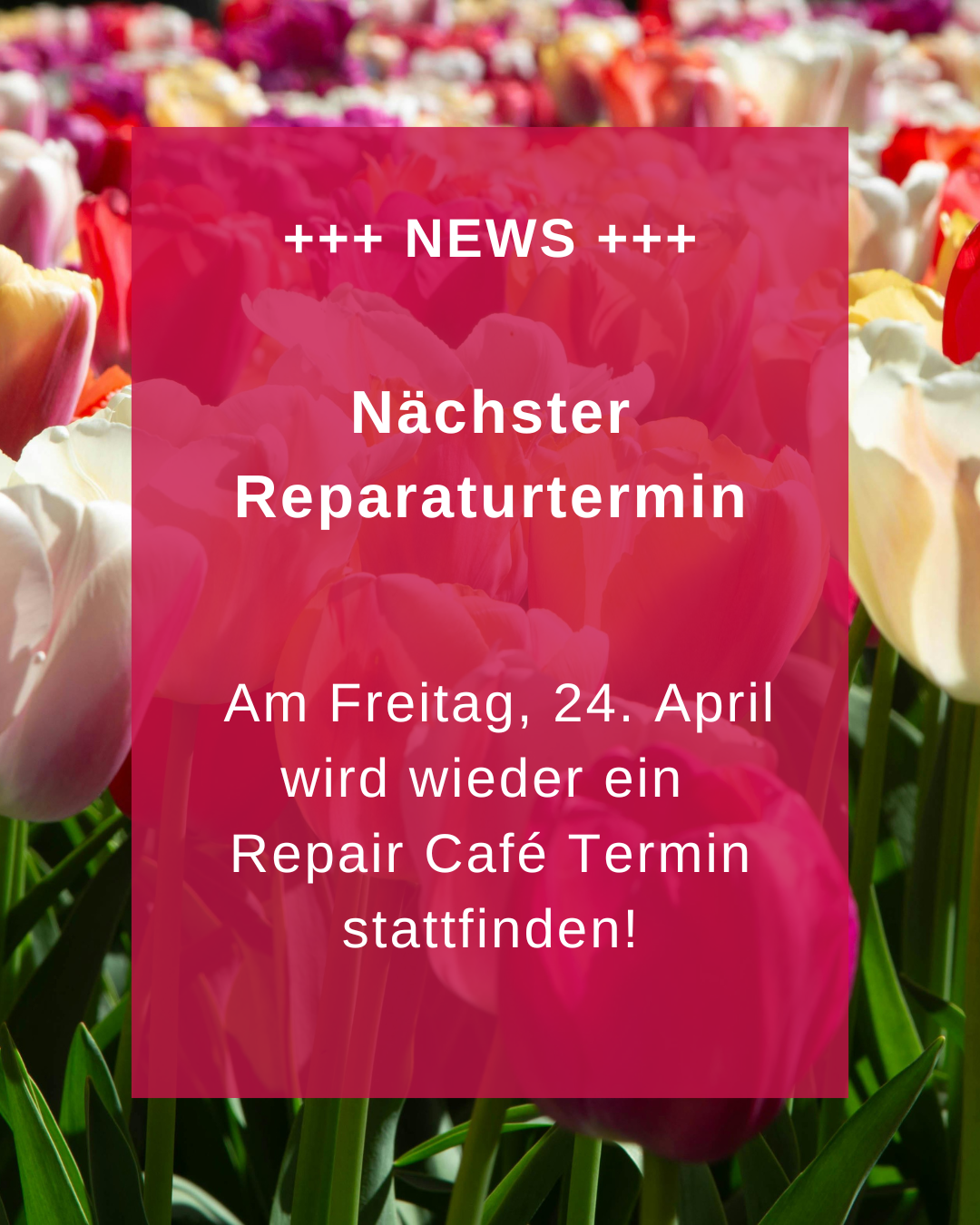 Reparaturtermin April 2026