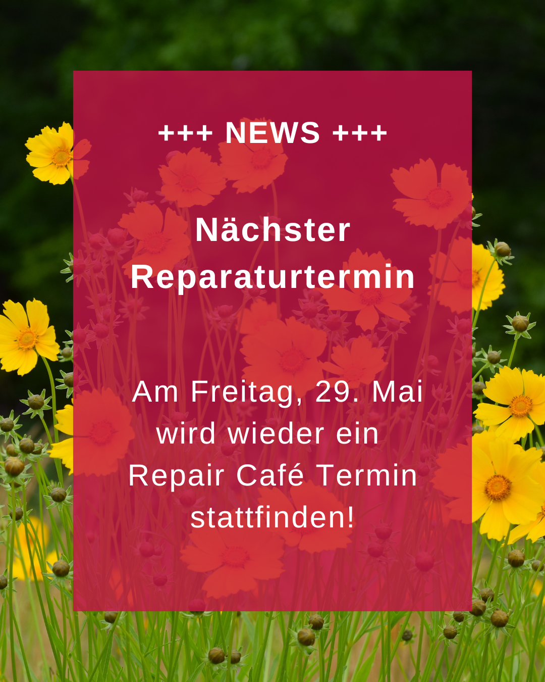 Reparaturtermin Mai 2026