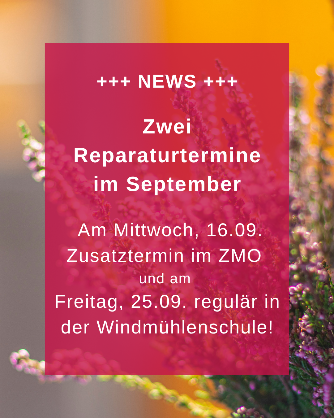 Reparaturtermine September 2026